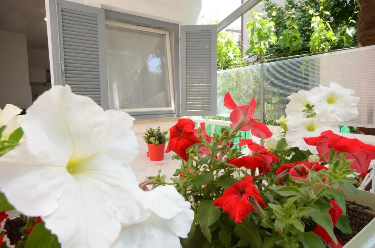 Apartment Sandy Bay Pjescana Uvala 0*,